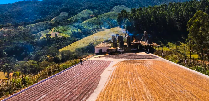 Brazil - Image 3