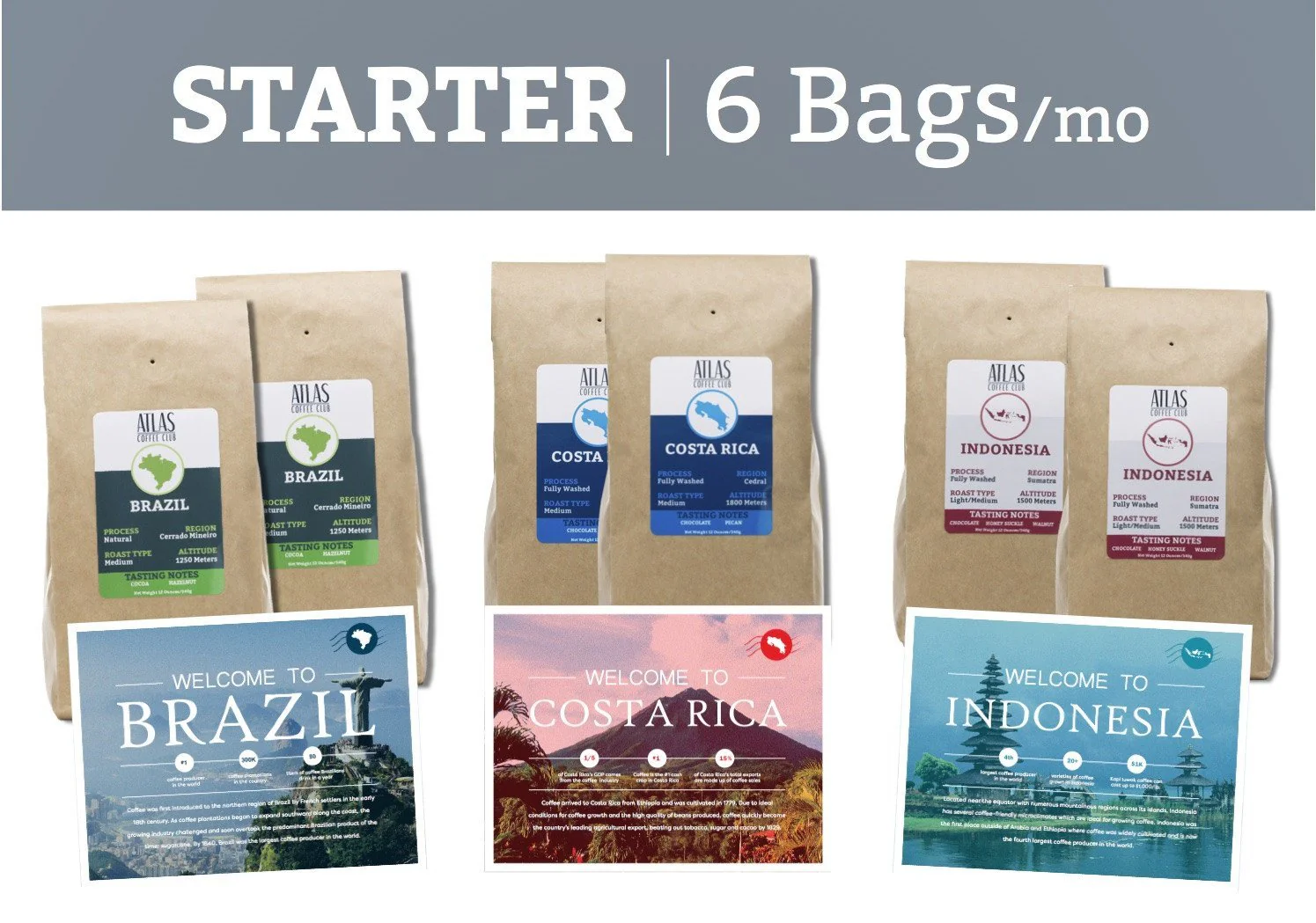 STARTER |  4 x 12oz bags/mo