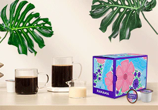 Limited Edition Panama - Image 2