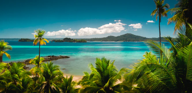 Limited Edition Panama - Image 3