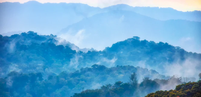 Rwanda - Image 3