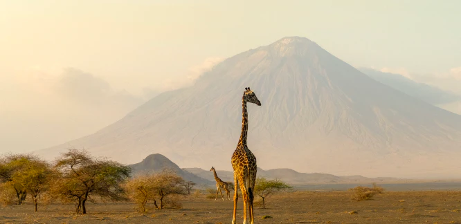 Tanzania - Image 3